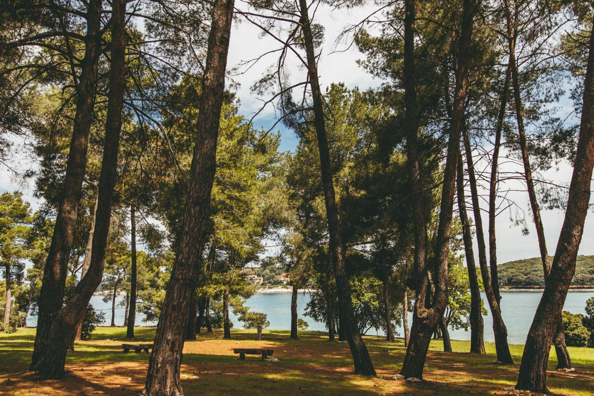 Maistra Camping Koversada Uncovered Naturist Pitches Vrsar Exterior foto